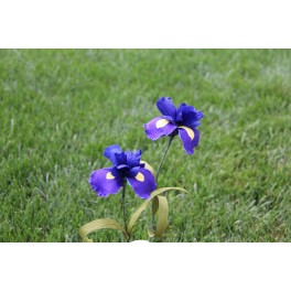 Iris Flowers -- set of 2